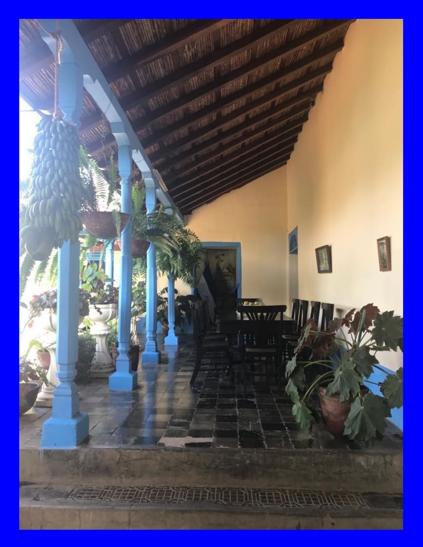 MUSEO